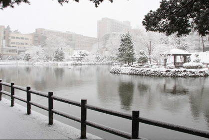 雪景色